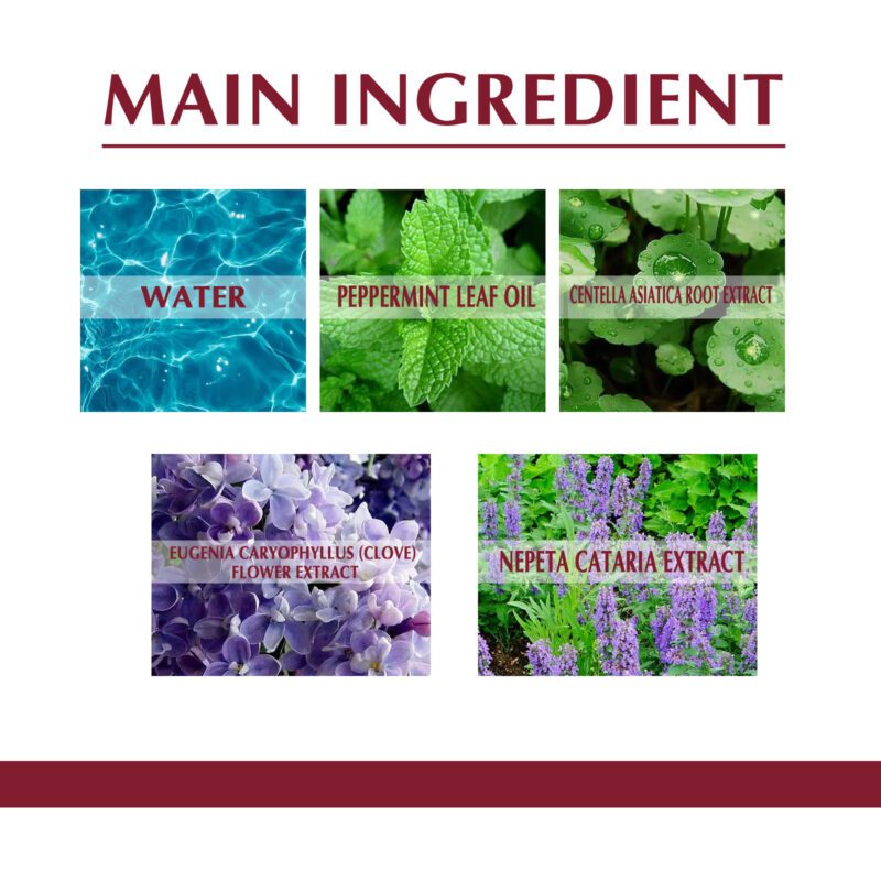 Soothing Neck Care Spray with Natural Ingredients | Daily Comfort for Tense Muscles - Image 5